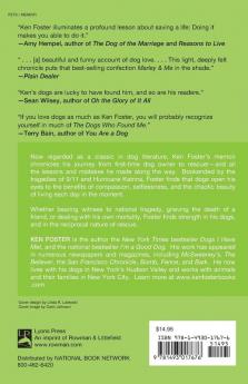 The Dogs Who Found Me