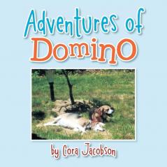 Adventures of Domino: A True Story