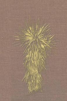 Marfa and Presidio County Texas