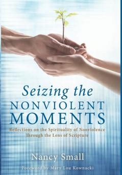 Seizing the Nonviolent Moments: Reflections on the Spirituality of Nonviolence Through the Lens of Scripture