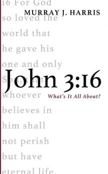 John 3:16: What's It All About?