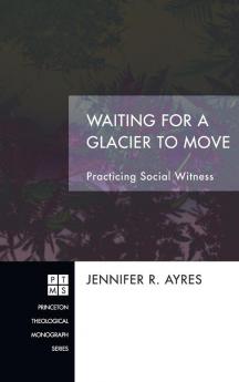 Waiting for a Glacier to Move: Practicing Social Witness: 170 (Princeton Theological Monograph)