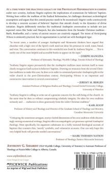 Participating Witness: An Anabaptist Theology of Baptism and the Sacramental Character of the Church: 199 (Princeton Theological Monograph)