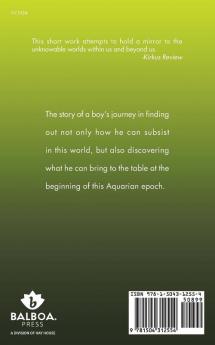 Story of a Boy: A Little Green Book of Real Fiction