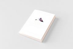 Akashic Enlightenment Akashic Records & Book of Truth for Divine Knowledge Healing & Ascension