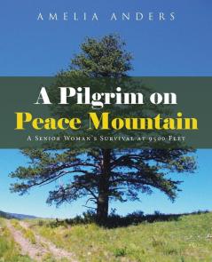 A Pilgrim on Peace Mountain