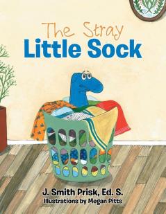 The Stray Little Sock