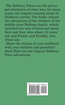 The Bobbsey Twins In the Great West