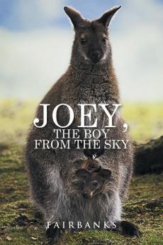 Joey the Boy from the Sky