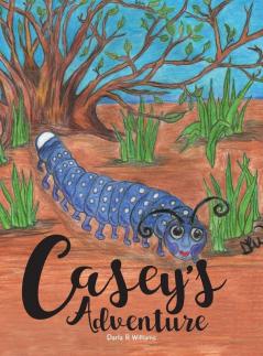 Casey's Adventure