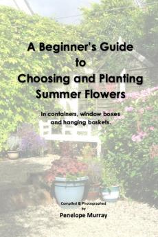 A Beginner's Guide to Choosing and Planting Summer Flowers