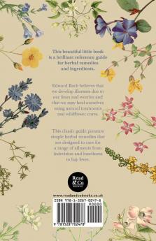 The Twelve Healers and Other Remedies