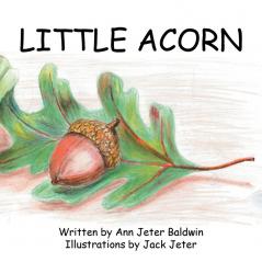 Little Acorn