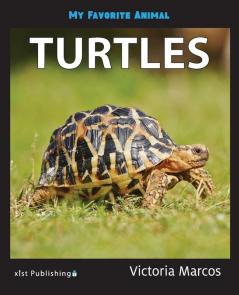 My Favorite Animal: Turtles