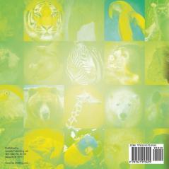 How To Protect Endangered Animals - Animal Book Age 10 | Children's Animal Books