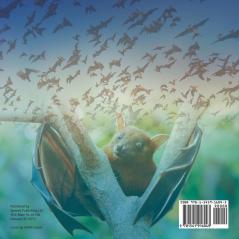 How Does Echolocation Work? Science Book 4th Grade | Children's Science & Nature Books