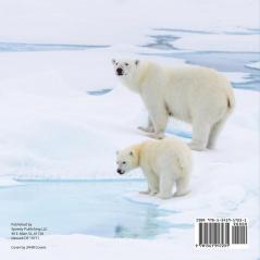 The Coldest Tundra! | Arctic & Antarctica Animal Wildlife | Children's Polar Regions Books