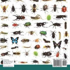 Spiders Ticks Mites Scorpions and More Insects for Kids - Arachnid Edition Children's Bug & Spider Books