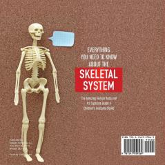 Everything You Need to Know About the Skeletal System | The Amazing Human Body and Its Systems Grade 4 | Children's Anatomy Books