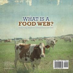 What is a Food Web? Science of Living Things Grade 4 Children's Science & Nature Books