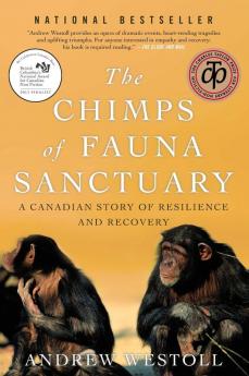 Chimps Of Fauna Sanctuary