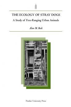 Ecology of Stray Dogs