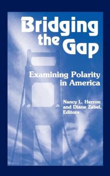 Bridging the Gap: Examining Polarity in America