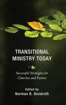 Transitional Ministry Today