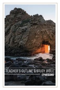 The Teacher