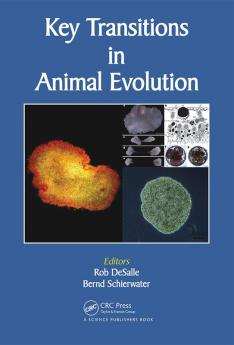 Key Transitions in Animal Evolution