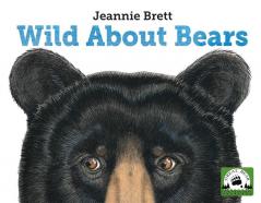 Wild About Bears