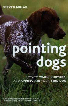 Pointing Dogs