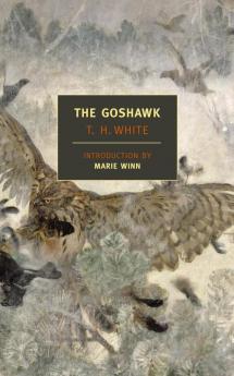 The Goshawk