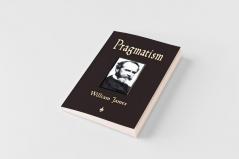 Pragmatism