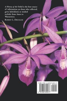 A History of the Orchid