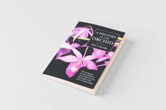 A History of the Orchid