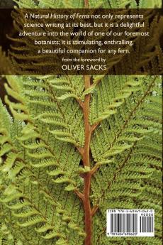 A Natural History of Ferns