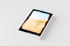 No Longer at Ease by Chinua Achebe (the author of Things Fall Apart)