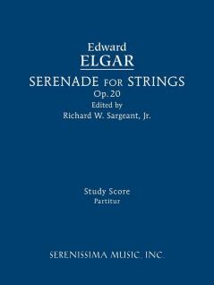 Serenade for Strings Op.20