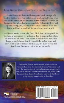 Building Benjamin Volume 2: Naomi's Journey (Tribes of Israel)