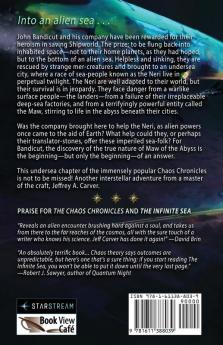 The Infinite Sea: 3 (Chaos Chronicles)