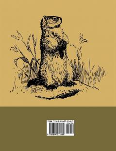 Woodchucks and Woodchuck Rifles [Illustrated Edition]