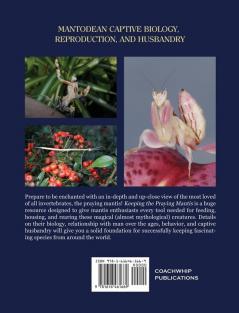 Keeping the Praying Mantis: Mantodean Captive Biology Reproduction and Husbandry