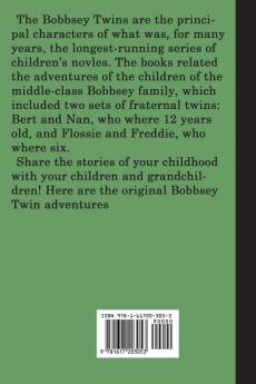 The Bobbsey Twins  at Meadow Brook