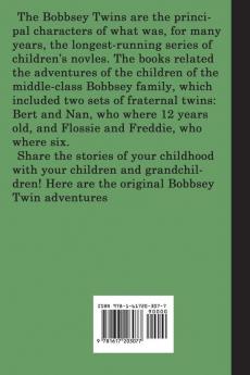 The Bobbsey Twins at the Seashore