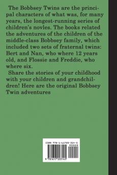 The Bobbsey Twins In Washington