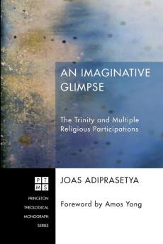 An Imaginative Glimpse: The Trinity and Multiple Religious Participations: 198 (Princeton Theological Monograph)