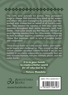 Persistent Resistance: Calls for Justice from the Celtic Traditions: A Collection of Essays