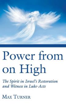 Power from on High: The Spirit in Israel's Restoration and Witness in Luke-Acts