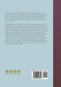 The Human Figure (Dover Anatomy for Artists)